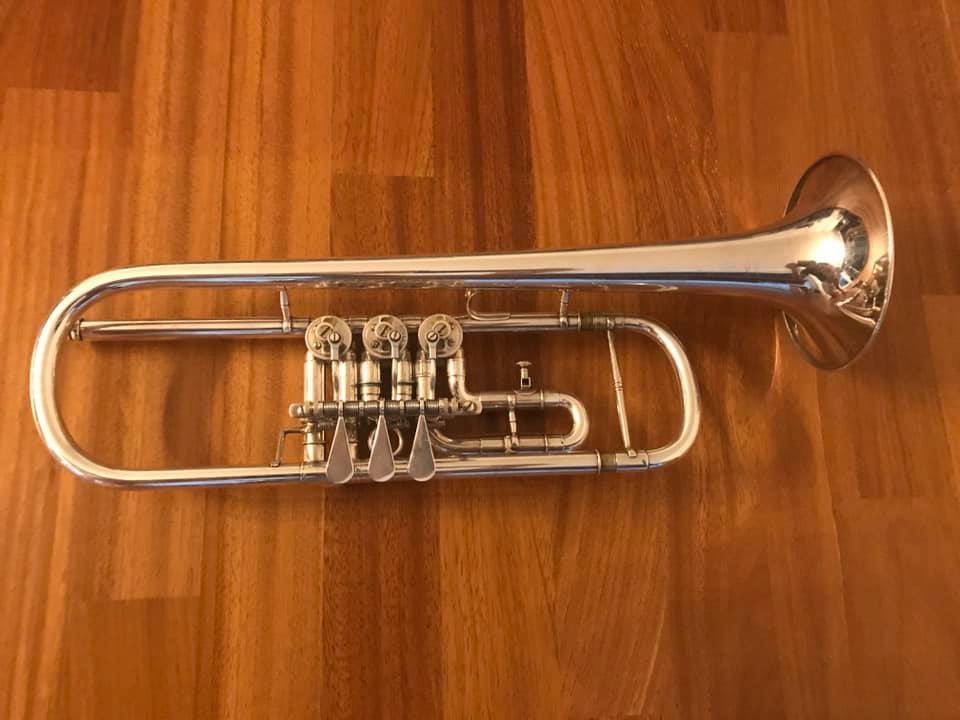 trompette melton1